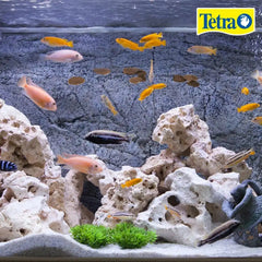Tetra Cichlid Crisps, Nutritionally Balanced Fish Food for All Top and Mid-Water Cichlids, 8.82 oz