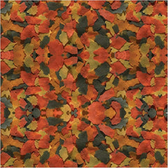 TetraColor PLUS Tropical Flakes with Color Enhancing 2.2 Ounce (Pack of 1)