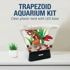 Tetra LED Betta Tank Kit 1 Gallon, Trapezoid aquarium With Base Lighting (24050)