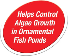 Tetra Pond Block 4 Count, Controls Algae Growth In Ornamental Fish Ponds (16735)
